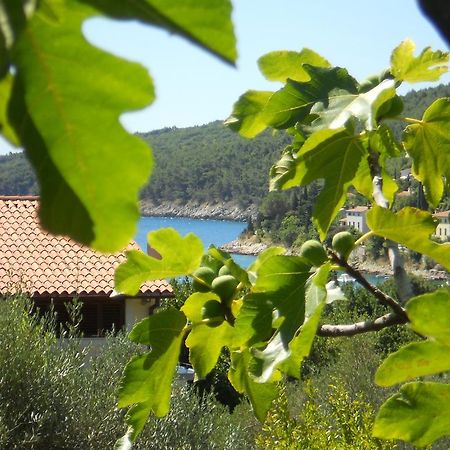 Apartments Ida Sveta Marina Drenje  Екстериор снимка