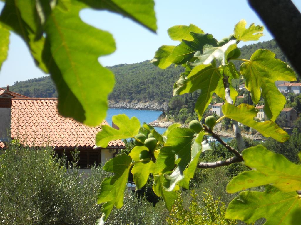 Apartments Ida Sveta Marina Drenje  Екстериор снимка